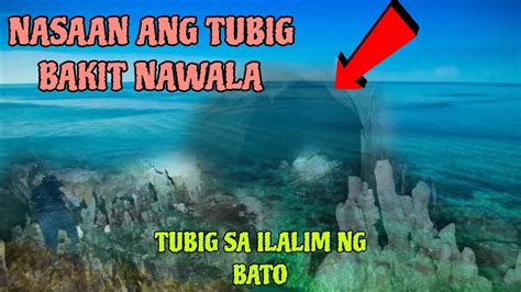 finger sa puke|Sa Gubat Dinonselya Ang Masikip na Kweba ni Maria (Iyot sa Pwit).